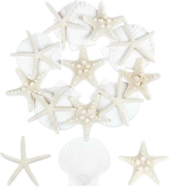 15 PCS Starfish and Scallop Shells, 2"-4" Natural Seashells White Seashells Large Seashells for C... | Amazon (US)