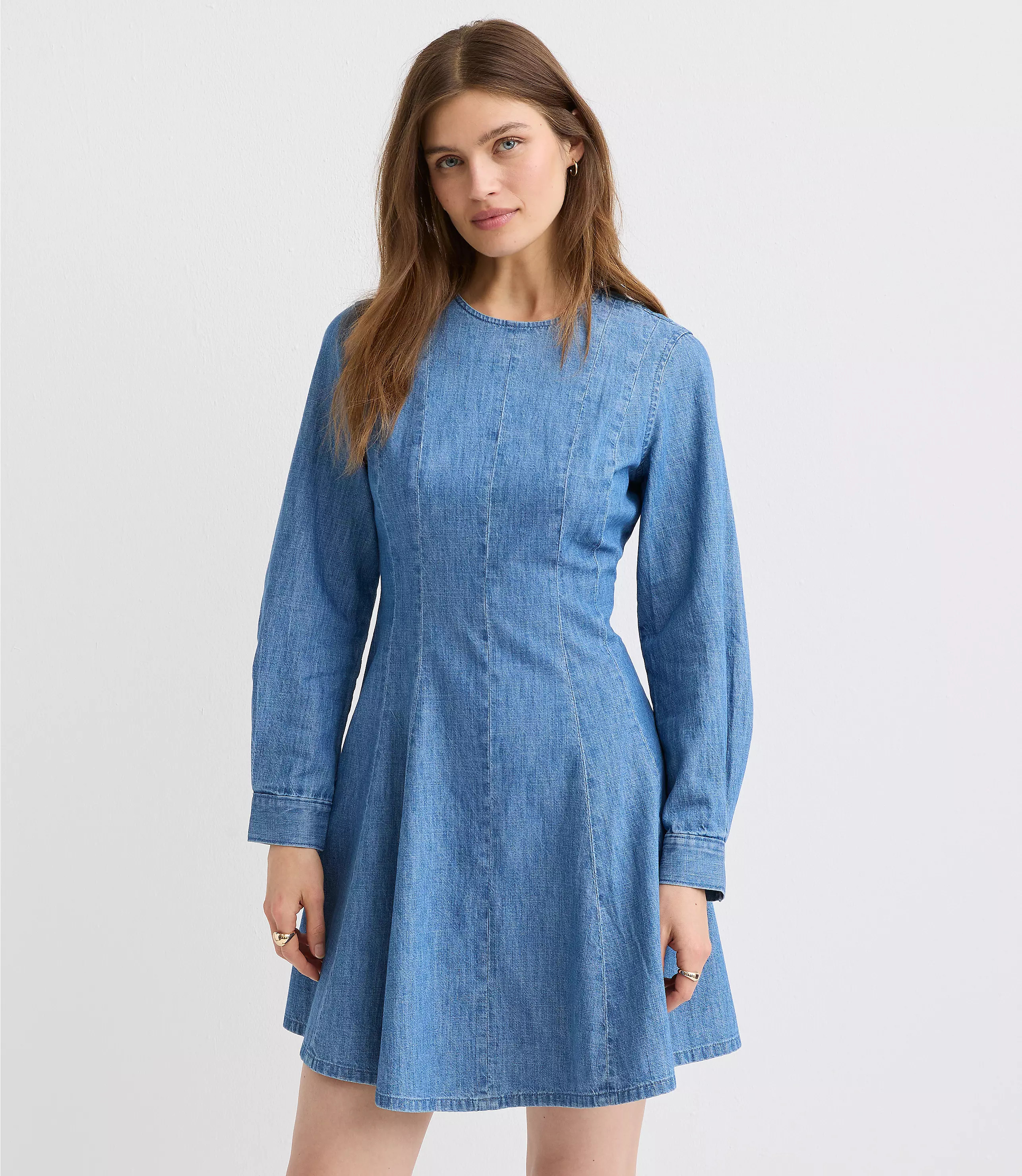 Chambray Seamed Barrel Sleeve Mini Dress | LOFT