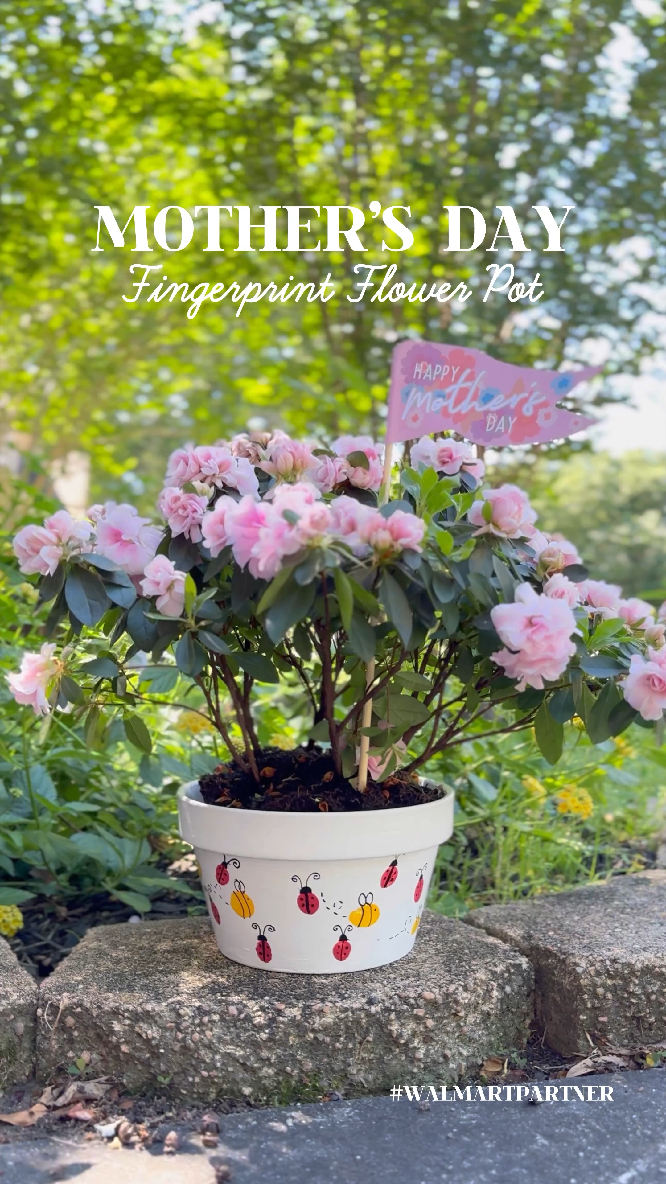 We created a fingerprint flower pot for Grandma and added a beautiful plant for her to enjoy.  The kids chose bees 🐝 and ladybugs 🐞, but you could also make flowers, hearts and butterflies.  So many fingerprint possibilities!  

I got everything we used on @Walmart.  They have an impressive selection that caters to Comfort Crafts, Seasonal Crafts, and Kids Crafts, making it an ideal destination for all your crafting needs.

Shop all the supplies on Walmart.

#walmartpartner #walmarthome #mothersday #mothersday2024 #mothersdaygift #kidscrafts #diy #diygift #giftsforher #giftsforgrandma #grandmother #nana 

#LTKVideo #LTKfamily #LTKGiftGuide