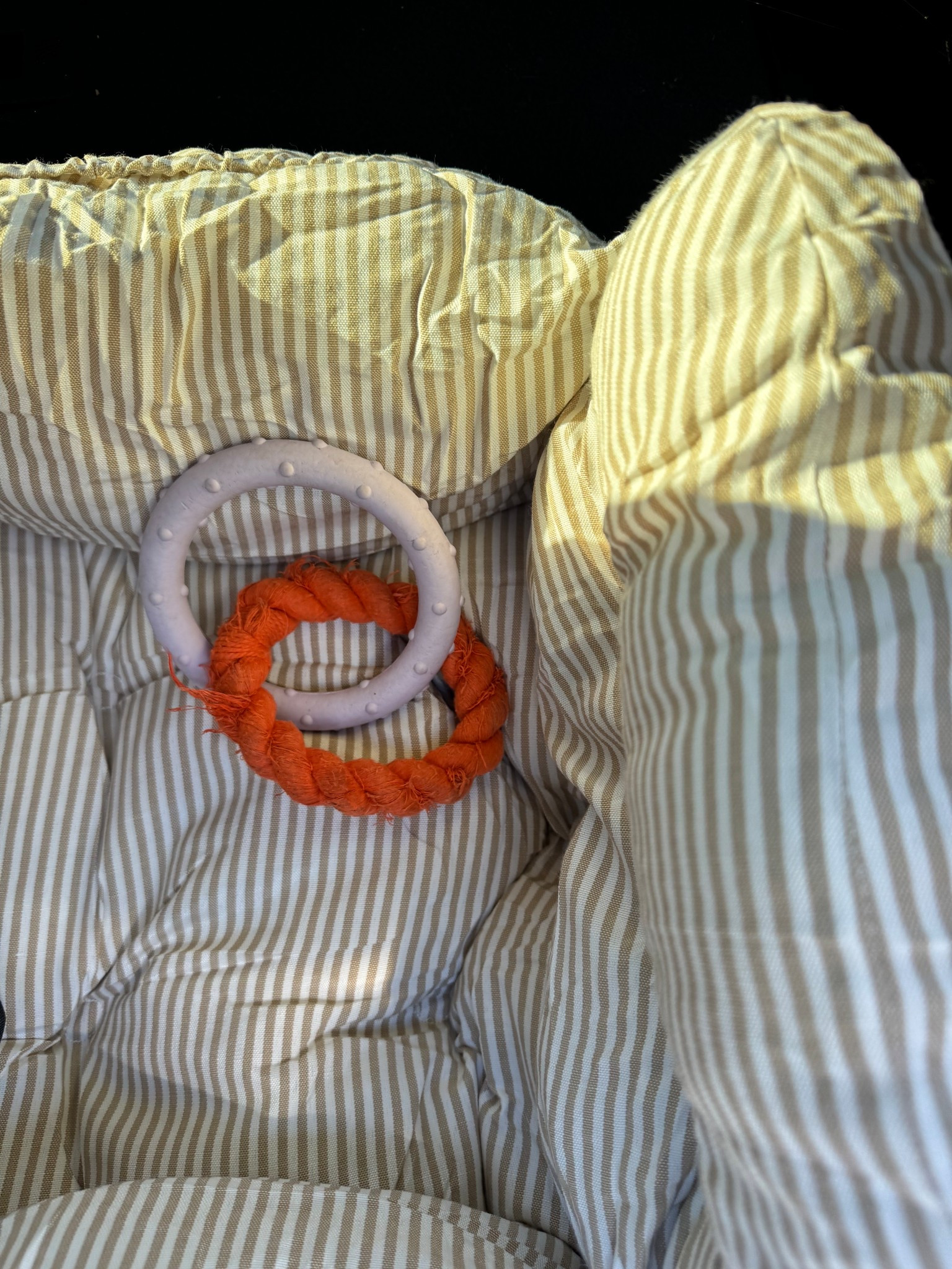 Perfect car seat for your pup’s first road trip 

Aspens fav toy has been this cutie rope ring and serves as her emotional support toy on drives 💕

#newpuppy #dogessentials 

#LTKPets #LTKFindsUnder50 #LTKFindsUnder100
