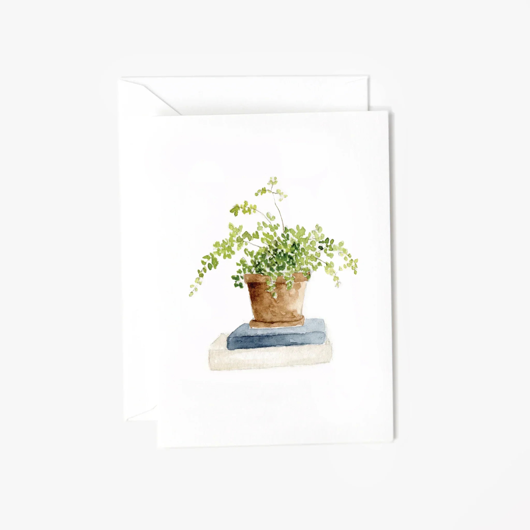 maidenhair fern mini enclosure notecard | Emily Lex Studio