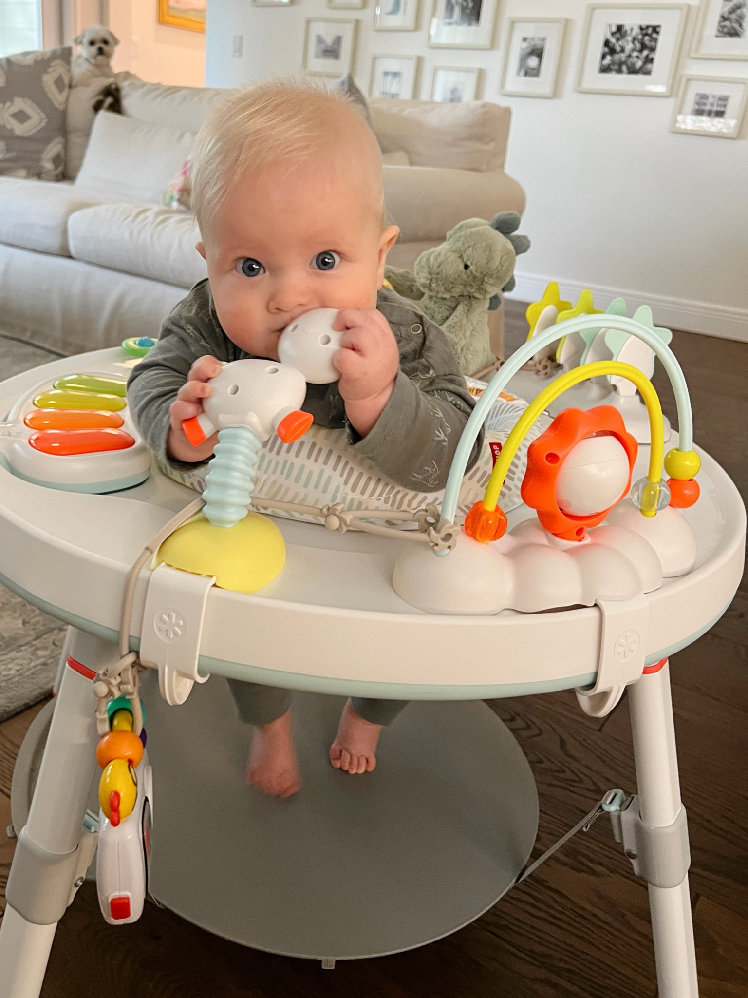 Favorite baby toys 

#LTKfamily #LTKunder50 #LTKbaby