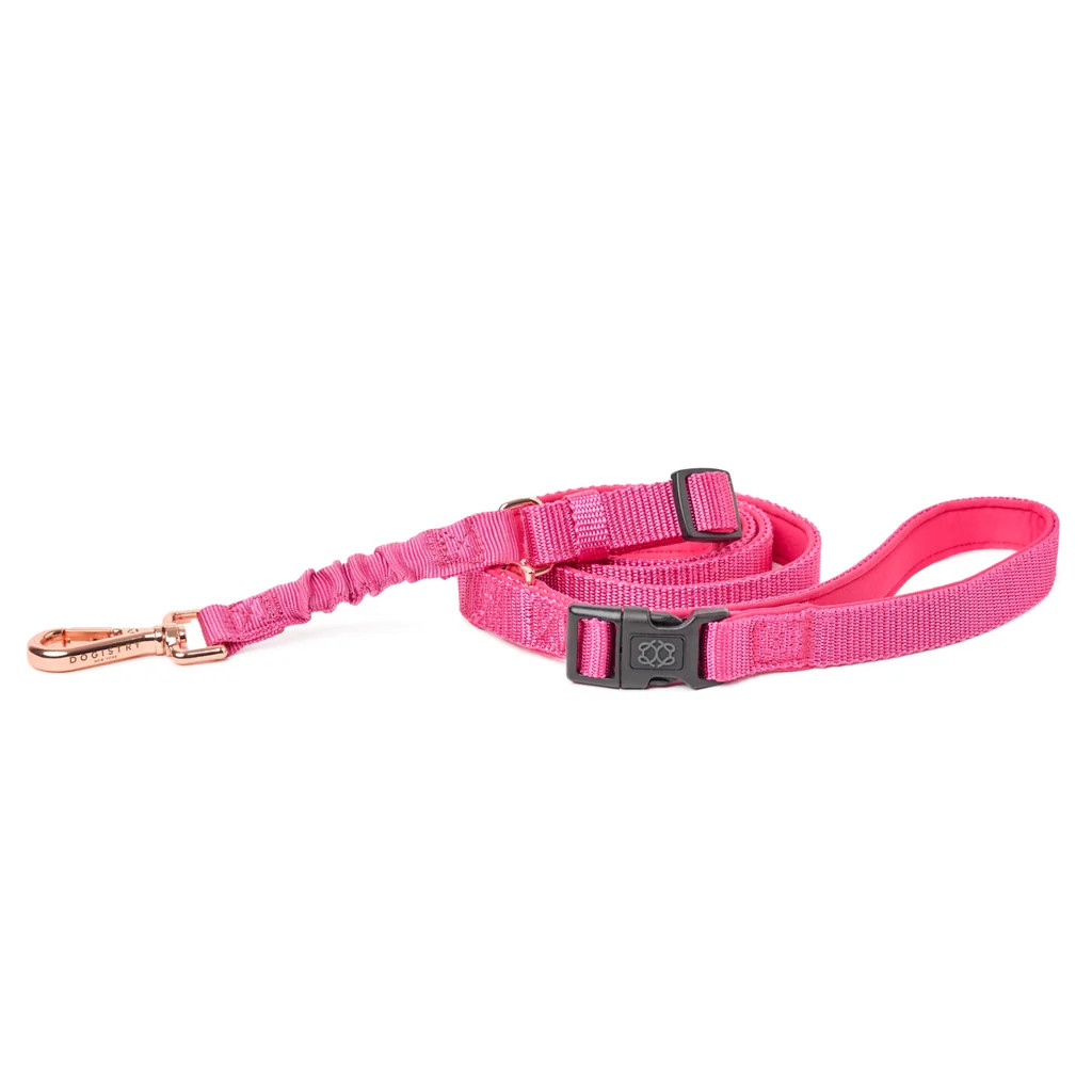 3-in-1 City Dog Leash - Park Ave Pink | DOGISTRY