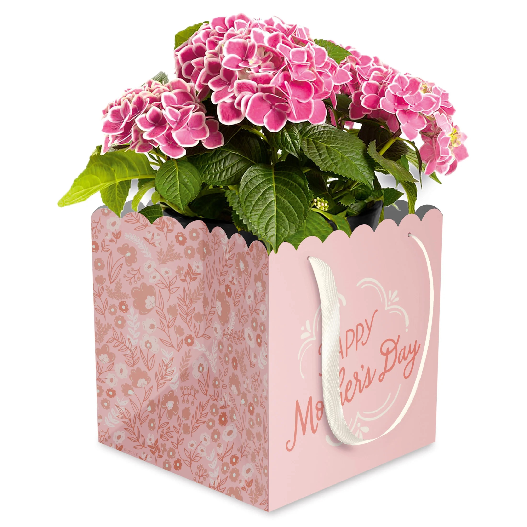 American Greetings 7 in. Mother's Day Flower Pot Gift Bag, Happy Mother's Day (1-Count) - Walmart... | Walmart (US)