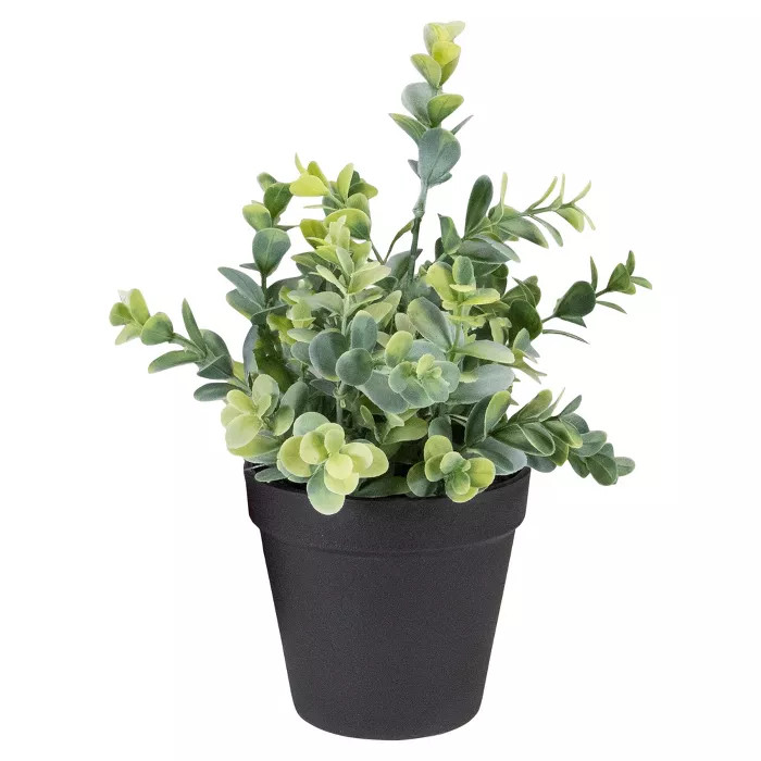 Northlight 10" Green Artificial Melia Azedarach Plant in Black Pot | Target