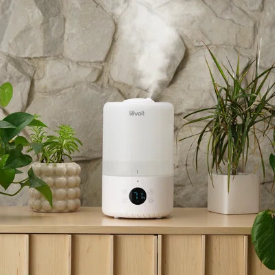 0.65 Gallons Gal. Cool Mist Ultrasonic Tabletop Humidifier 290 Square Feet Sq. Ft. | Wayfair North America