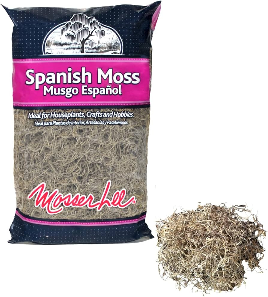 Mosser Lee Spanish Moss – Natural Decorative Moss for Houseplants, Soil Cover, Crafts, Terrariu... | Amazon (US)