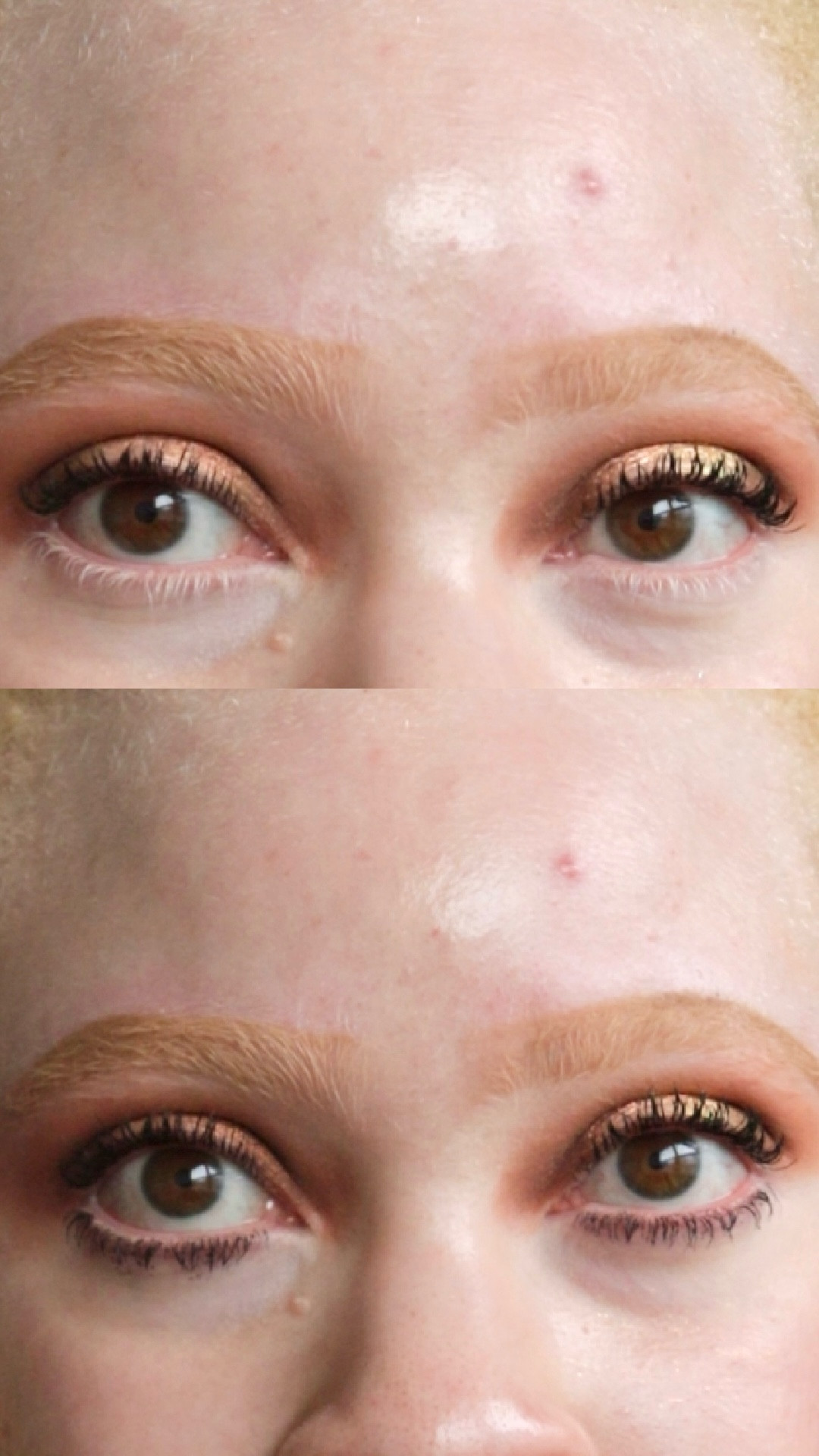 Mascara or no mascara that is the question! Should I wear mascara on my bottom lashes or just the top lashes? Should I let it grow on me or is it giving raccoon vibes ?👀


#LTKBeauty #LTKgrwm