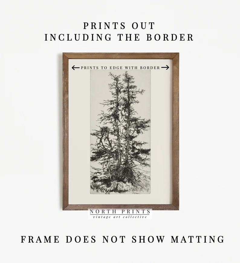 Vintage Gallery Wall Print Set  Tree Sketches Etching Print  | Etsy | Etsy (US)