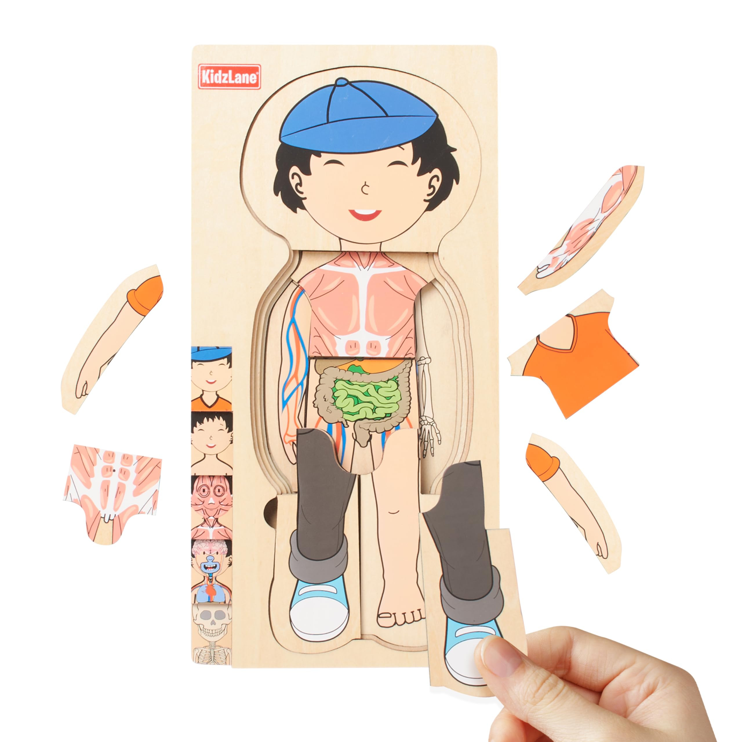 Kidzlane Wooden My Body Puzzle for Toddler - 5-Layer Human Anatomy Puzzle - Real Wood - Multicolo... | Amazon (US)
