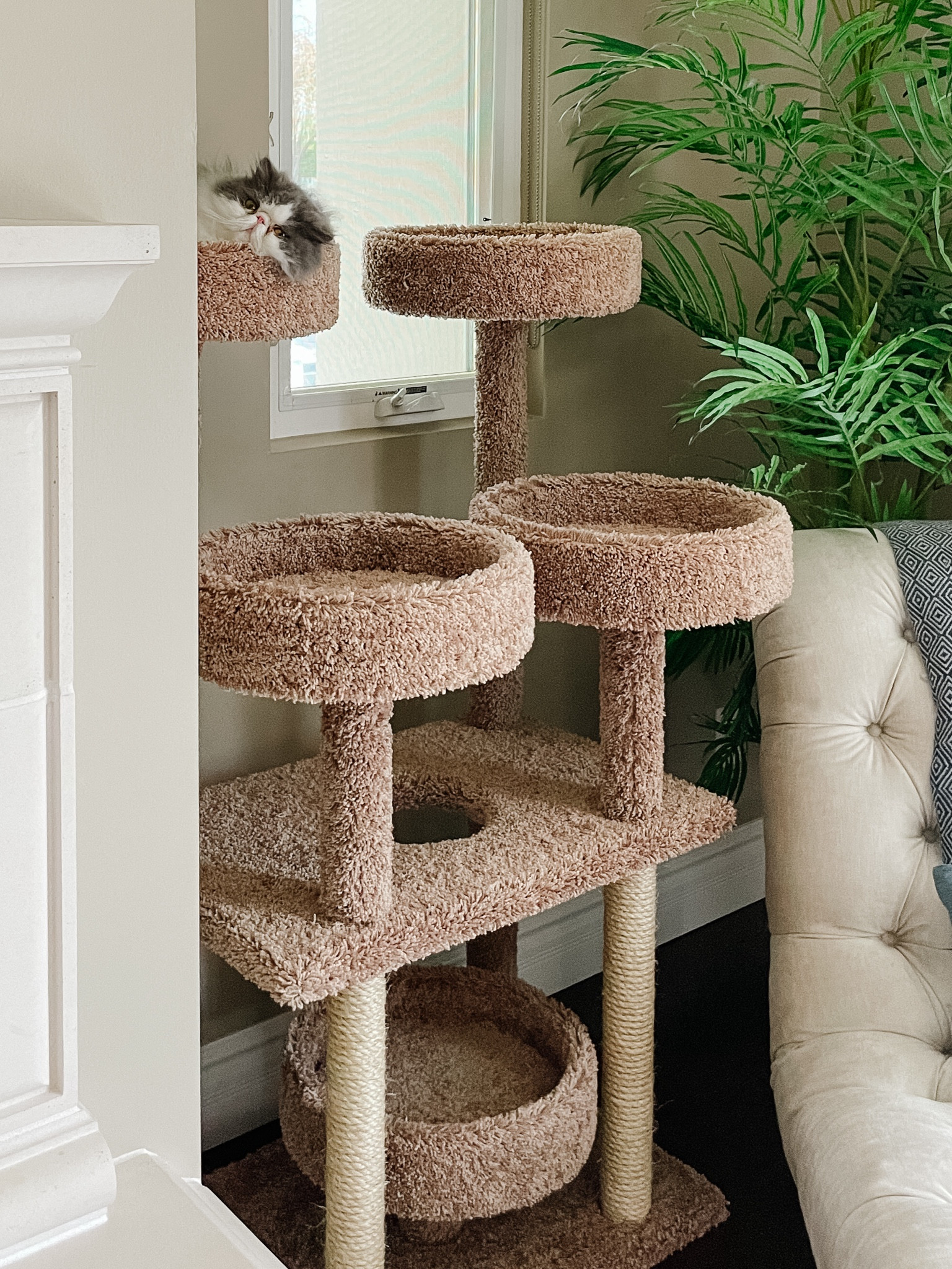 This cat tree from
Wayfair is perfect for the boys. The reviews are great! Super high quality and sturdy! Worth the price and will last years! 

#LTKGiftGuide #LTKfamily #LTKhome