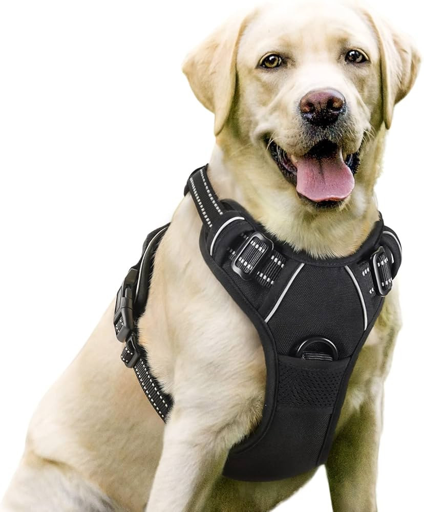 rabbitgoo Dog Harness, No-Pull Pet Harness with 2 Leash Clips, Adjustable Soft Padded Dog Vest, R... | Amazon (US)