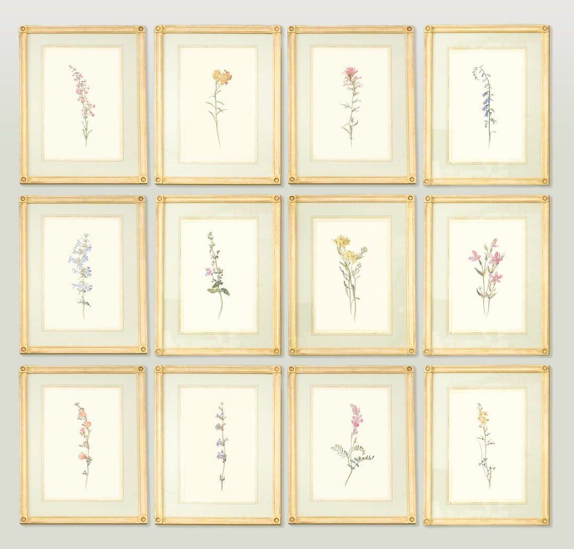Collection of Vintage Botanical Prints Set of 12 Antique - Etsy | Etsy (US)