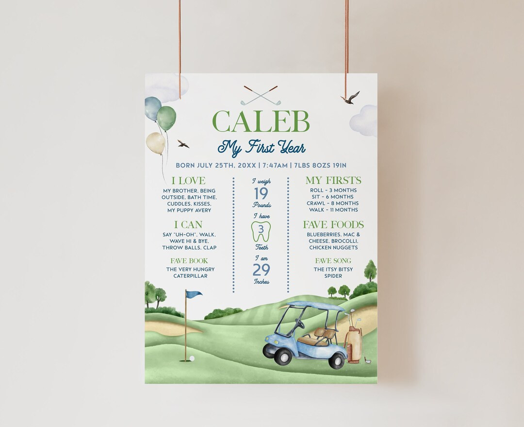HOLE IN ONE First Birthday Milestone Board Editable Template, Golf 1st Birthday Babys First Year ... | Etsy (US)