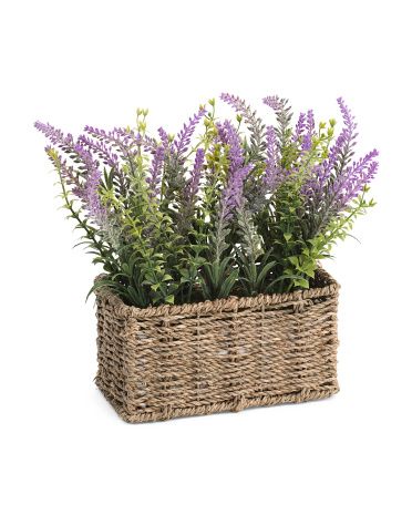 Lavender In Woven Ledge Basket | Marshalls