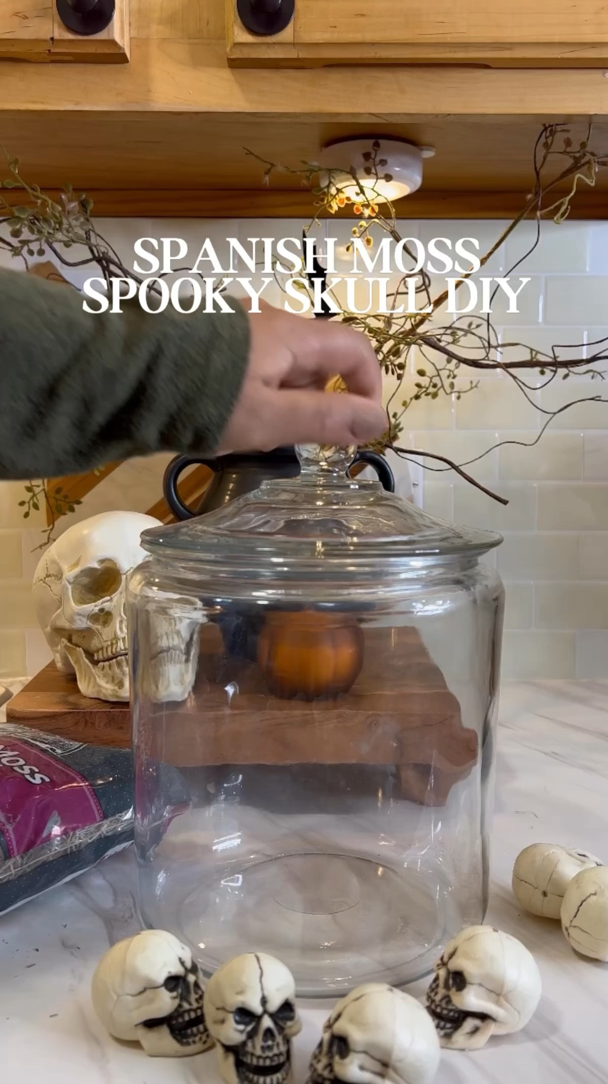 Easy and quick Spooky Skull DIY 

#LTKVideo #LTKSeasonal #LTKHome