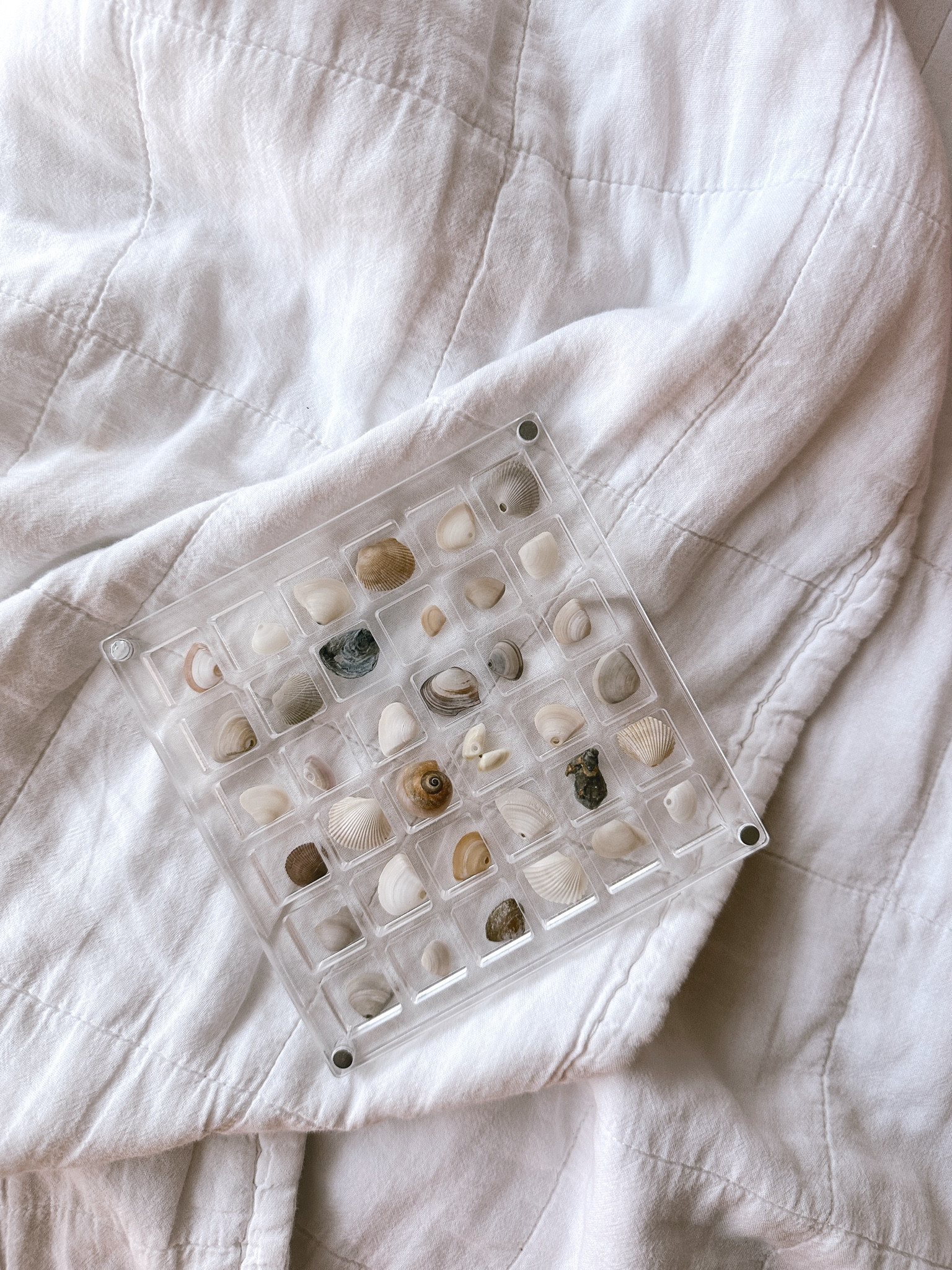 Seashell display box, home decor, beach vacation, gift ideas, on sale, Amazon finds, under $10

#LTKHome #LTKFindsUnder50 #LTKSaleAlert