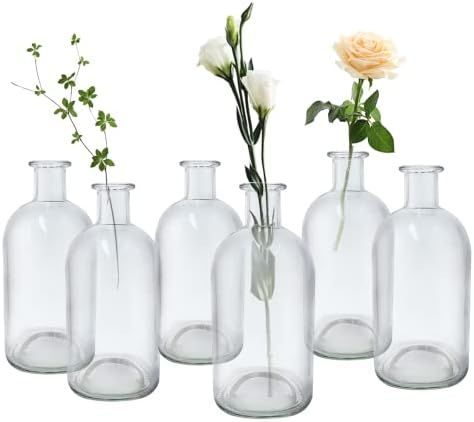 YNB.BEAUSEL Glass Vases Set of 6 Bud Vase Clear, Small Glass Flower Vases, Decorative Glass Bottles, | Amazon (US)