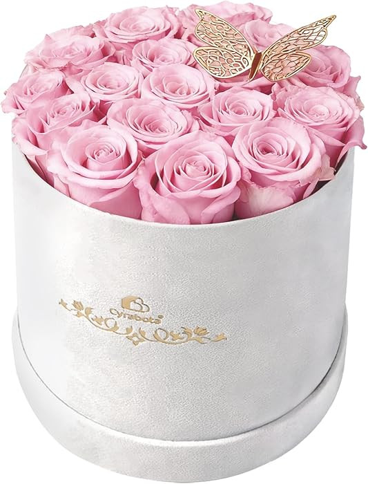 16 Pink Preserved Flowers in Round Gift Box, Forever Flowers Eternal Roses for Mother's Day, Birt... | Amazon (US)