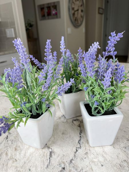 Pretty faux lavender in this set of faux flowers. Pretty white ceramic pots! #amazon #amazonhome #home #founditonamazon #fauxflowers #coastaldecor # homedecor #coastalgrandmother #lavenderr

#LTKhome
