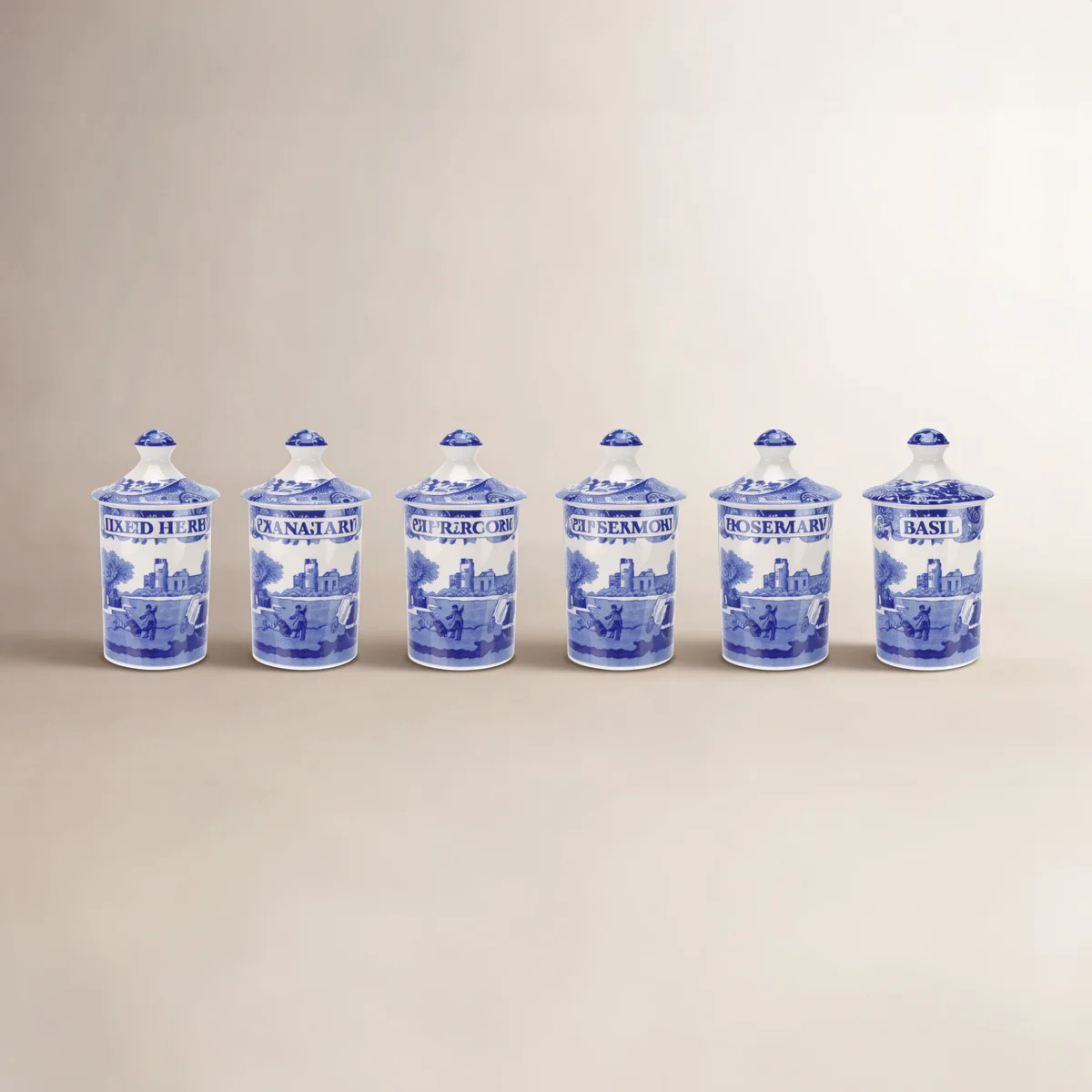 Spode Blue Italian Spice Jars & Reviews | Birch Lane | Birch Lane