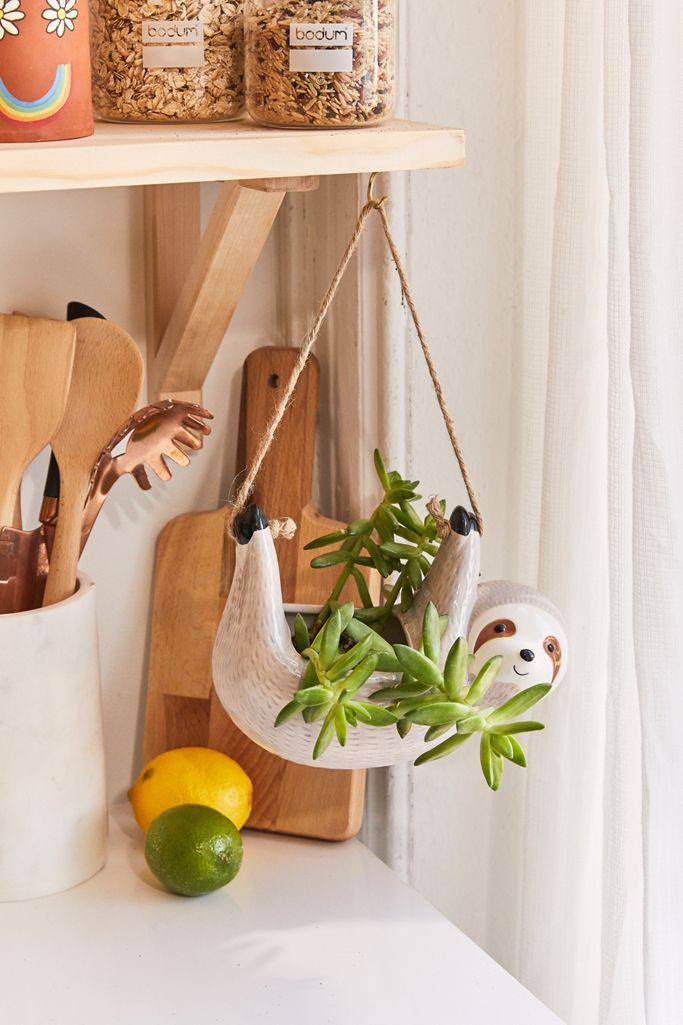 Sloth 4.25" Hanging Planter | Urban Outfitters (US and RoW)