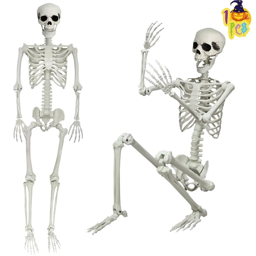 LUKBERA Posable Halloween Skeletons, 1Pcs 5.9ft Life Size Human Skeleton with Movable Joints for ... | Amazon (US)