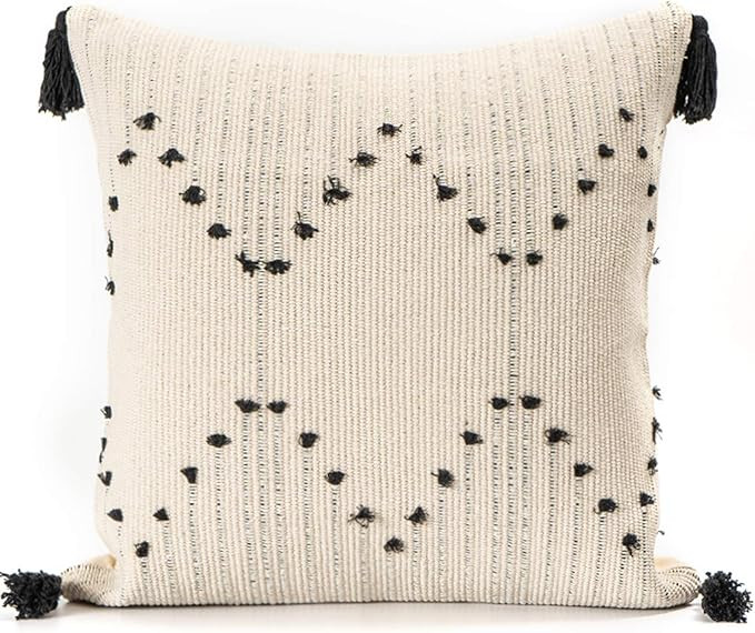 Bigcozy Boho Pillow Cover Tassel, Farmhouse Small Cream Decorative Throw Pillow Cover, Modern Mor... | Amazon (US)