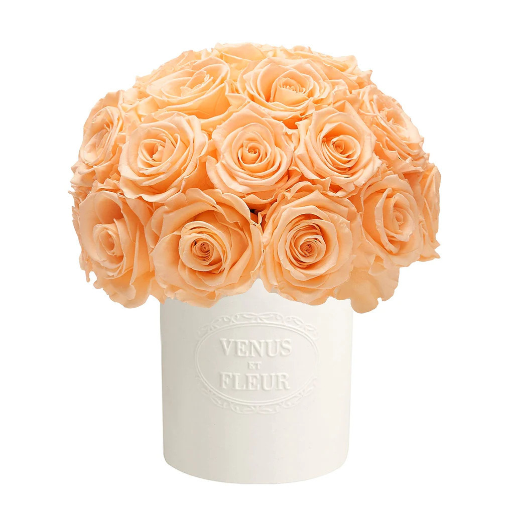 Porcelain Collection - Fleura Vase with Eternity Roses | Venus ET Fleur