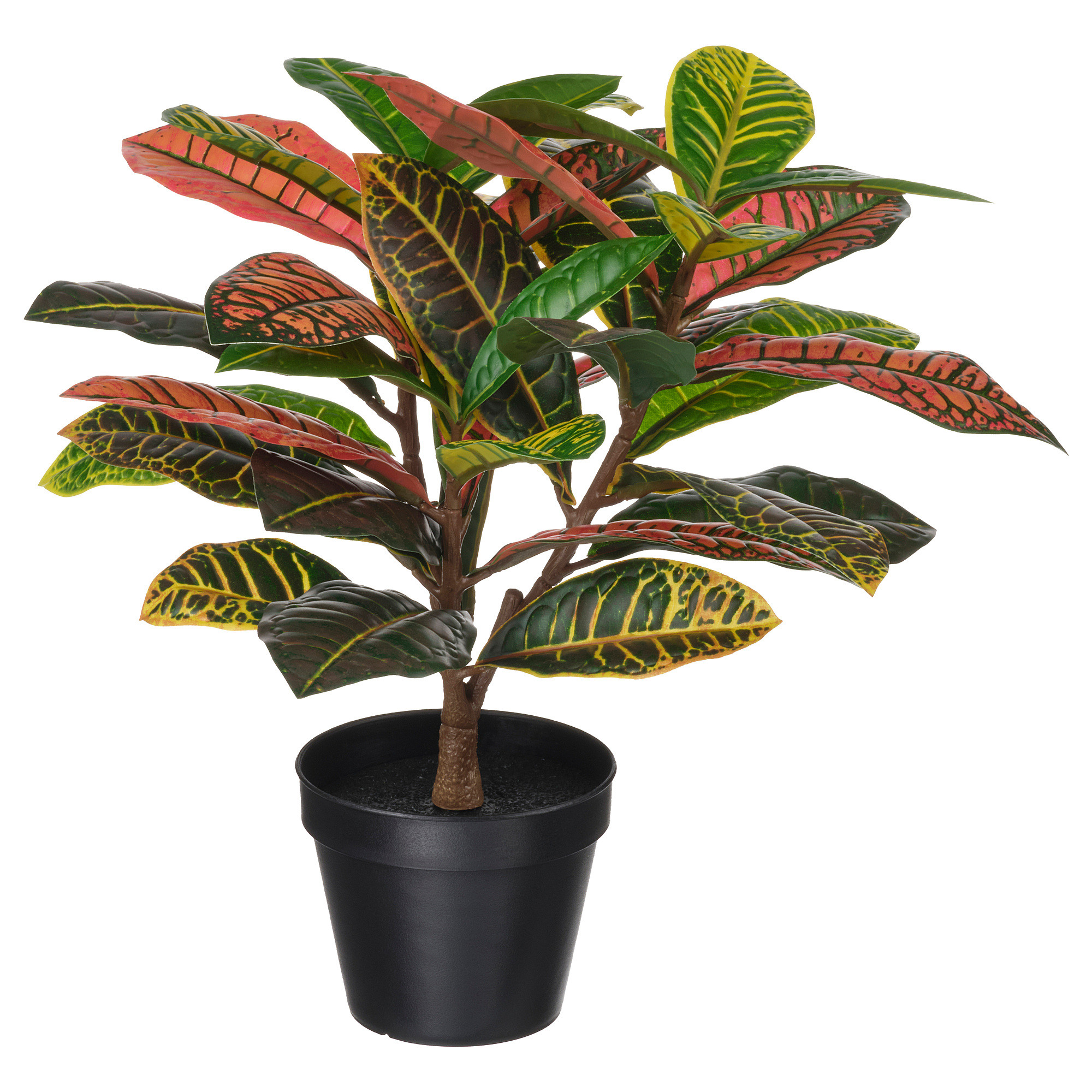 FEJKA Artificial potted plant, indoor/outdoor croton, 4 ¾ " | IKEA US