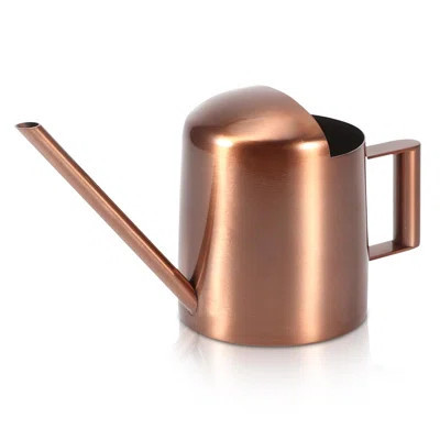 Small Watering Can, 10.2Oz Stainless Steel Water Can For Indoor Plants Long Spout Watering Can Indoor Houseplant Watering Can For House Plants, Succul | Wayfair North America