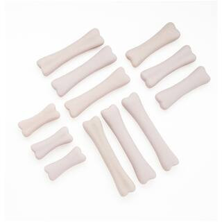 Yellow Door Dinosaur Bones Discovery Set in White | Michaels® | Michaels Stores