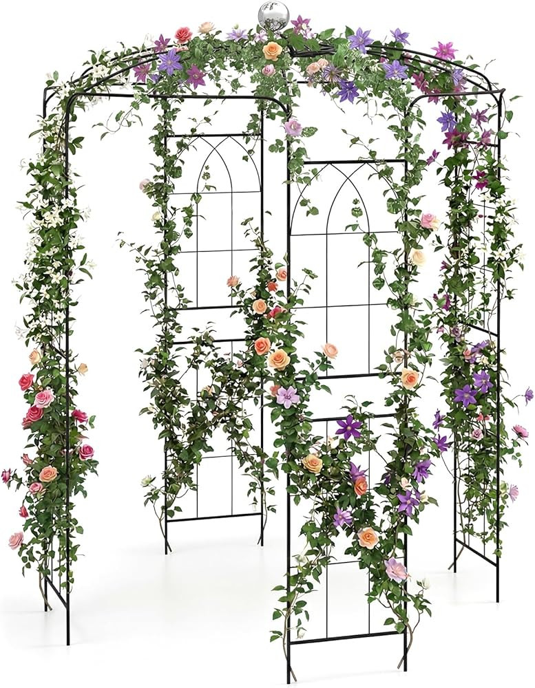 Giantex Birdcage Shape Gazebo - 9.3' H x 6.5' W Metal Arch Trellis for Climbing Plants Clematis V... | Amazon (US)