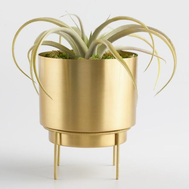 Brushed Gold Planter with Stand | World Market