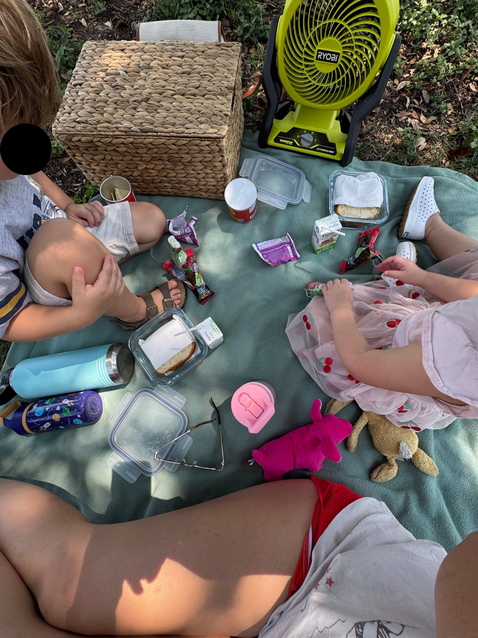 Picnic at the park with my babies after school. Had to bring the ryobi fan 🤣 