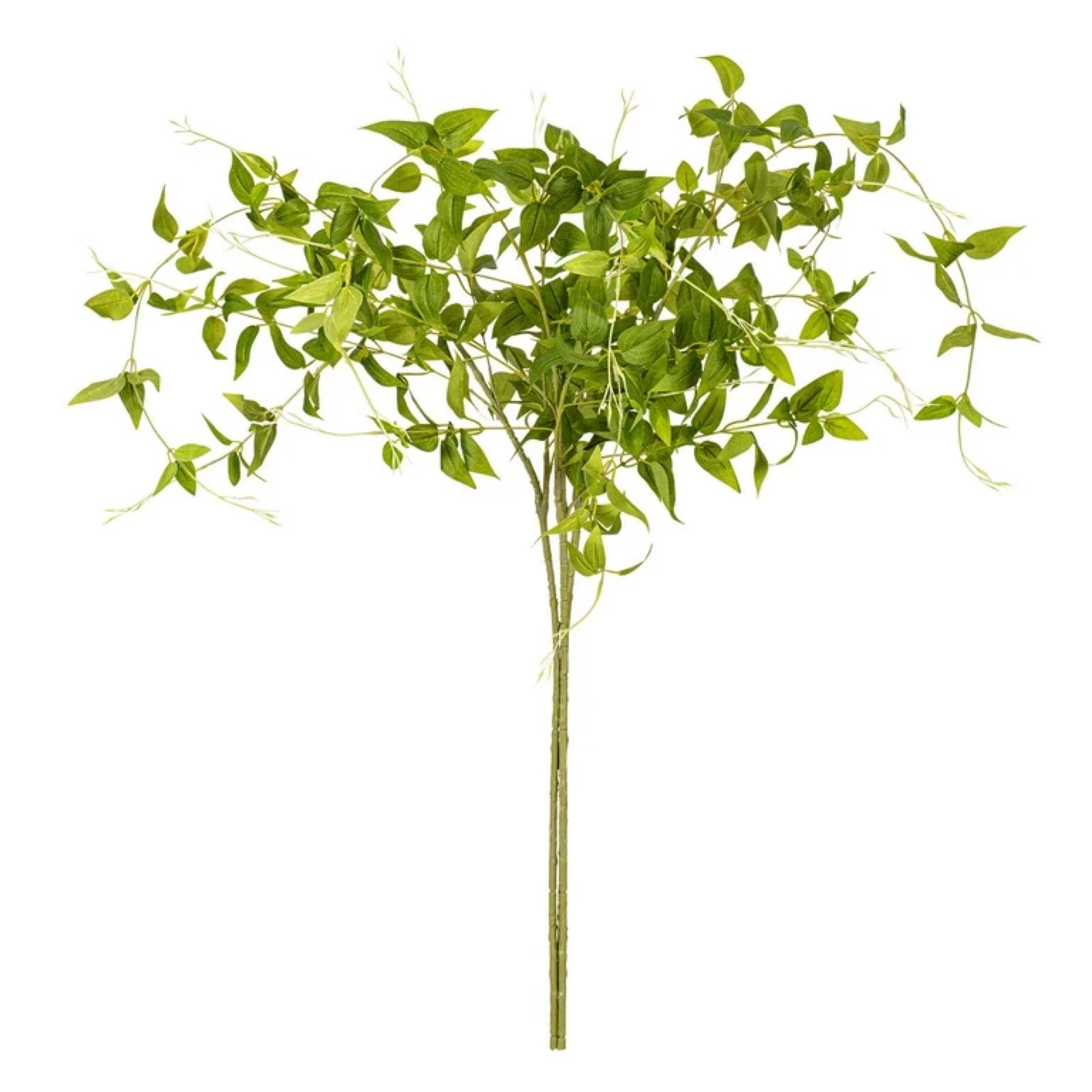 Vickerman 43" Artificial Green Clematis Leaves Spray. Includes 3 sprays per pack.

#LTKFindsUnder50 #LTKSeasonal #LTKHome