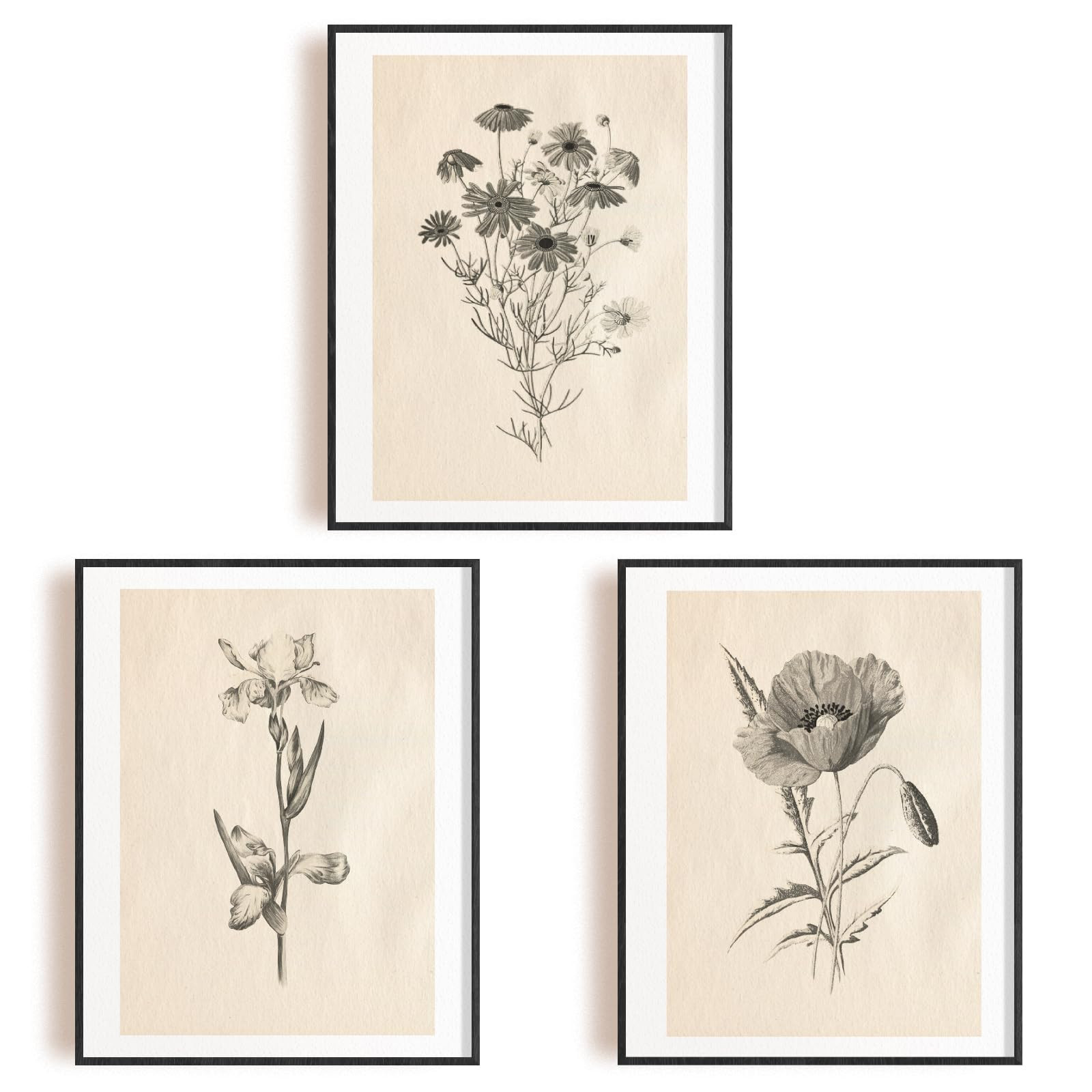 INFUNLY 6pcs Vintage Plants Wall Art Prints Set Botanical Pictures Poster 8"×10" Boho Floral Art... | Amazon (UK)
