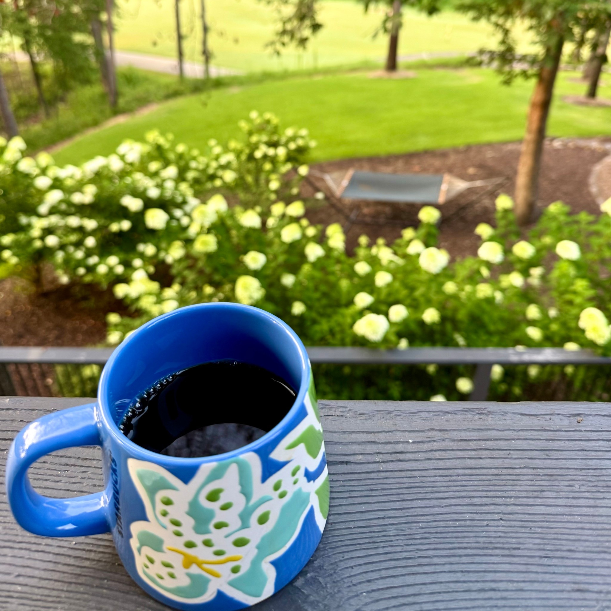 Things that are making me especially happy lately? Waking up to a backyard in bloom! I can’t tell you how much peace I feel sipping my coffee out back, surrounded by flowers and the sounds of the morning. 🌸☀️

#LTKSeasonal #LTKHome #LTKU