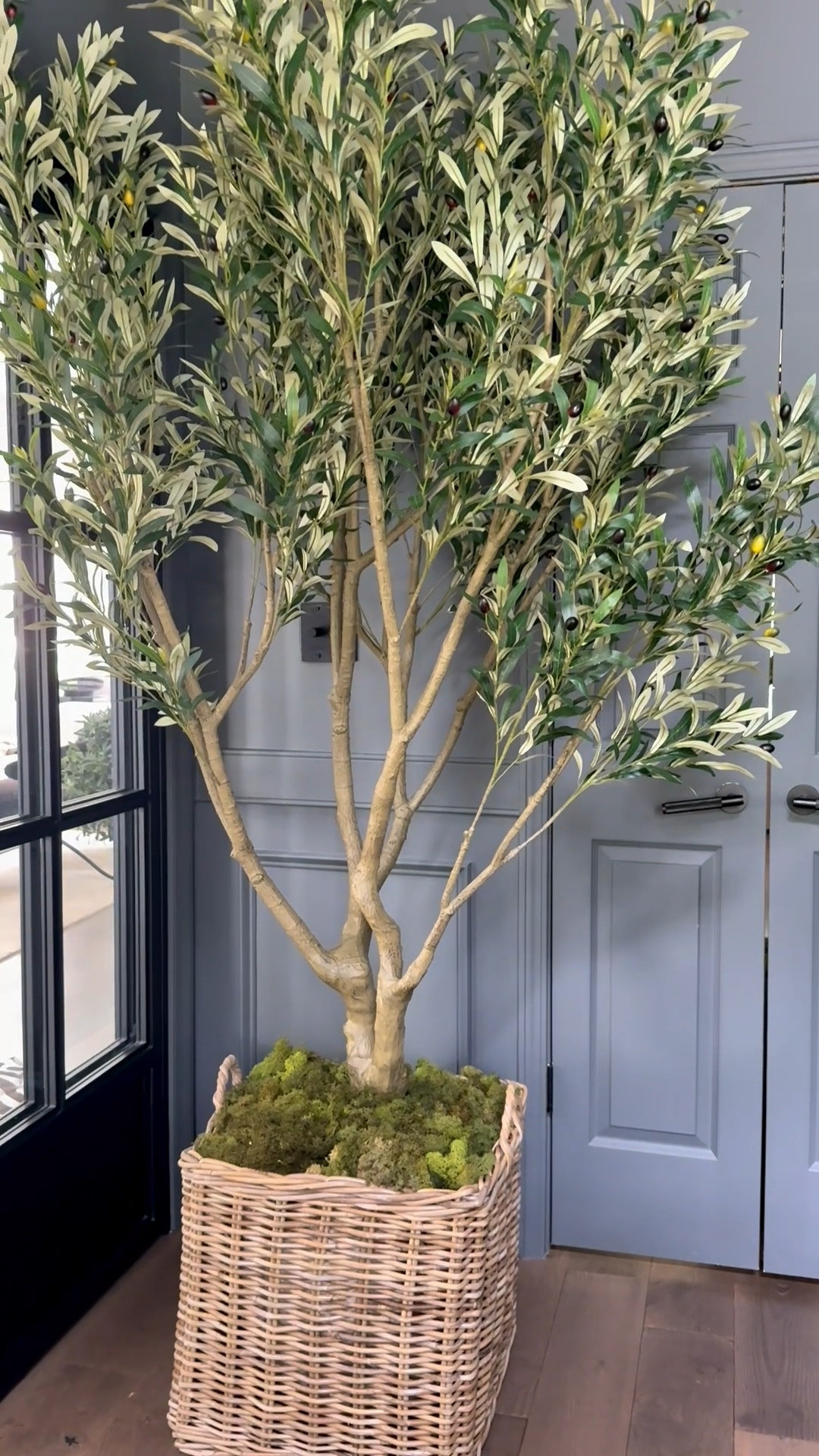 OMG. I have officially found the perfect oversized olive tree and I cannot stop staring at this corner.  It instantly elevated my entryway with just one piece. The woven basket, preserved moss, and organic branches create that collected, high end look I am always chasing. And it’s ALL from Amazon!

#LTKHome #LTKSeasonal #LTKSaleAlert