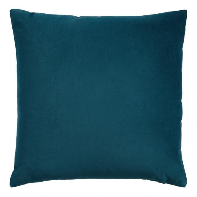 Velvet Throw Pillow | World Market