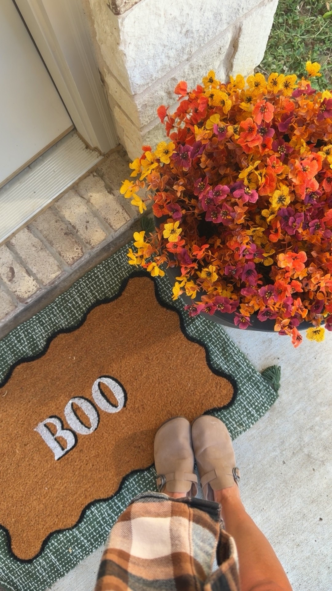The mums that won’t die this fall🍂🧡

#fall #mums

#LTKSeasonal #LTKHome