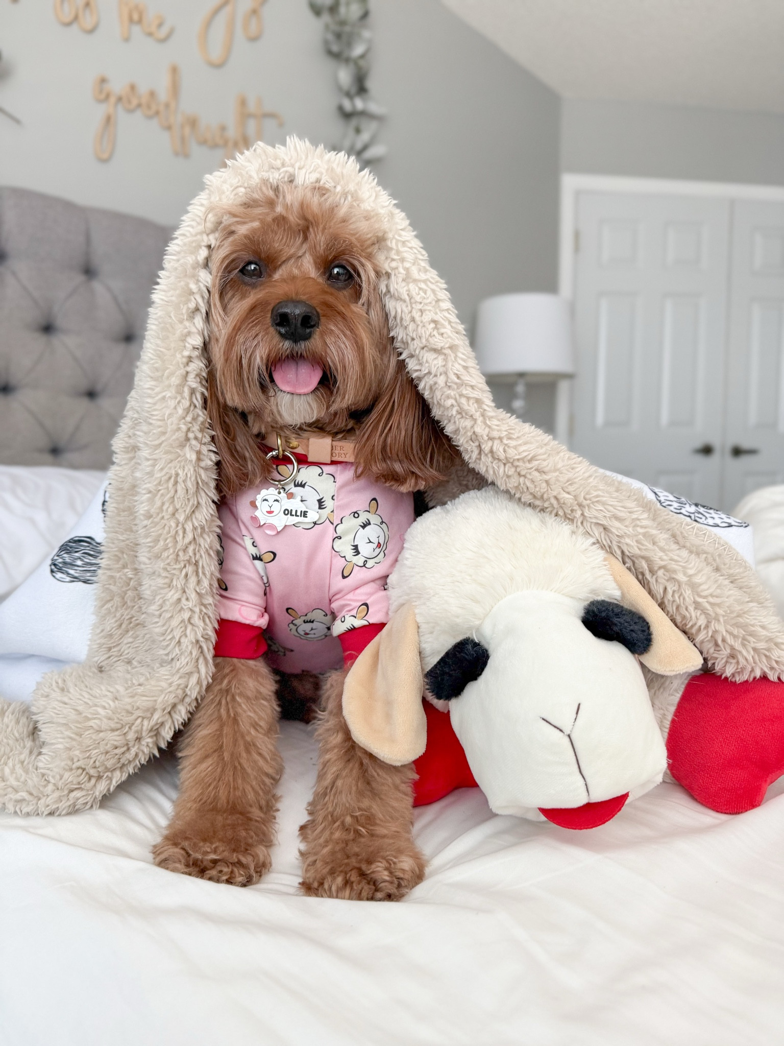 The cutest Lamby pjs! Linked them below! Not many sizes left! Also linked my jumbo Lamby!🐑