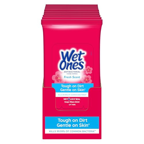 Wet Ones Antibacterial Hand Wipes, Fresh Scent, 20 Wipes (Pack of 10) | Amazon (US)