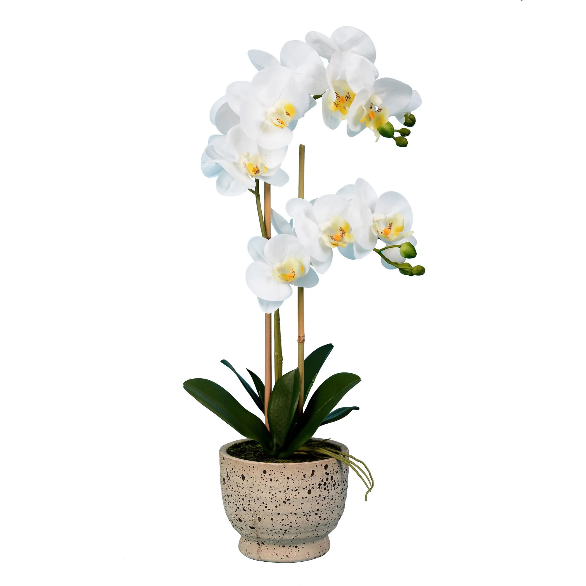 Vickerman 23" Artificial White Phalaenopsis In Pot. | Walmart (US)