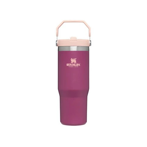 Stanley Iceflow Flip Straw 30 oz Tumbler | Scheels
