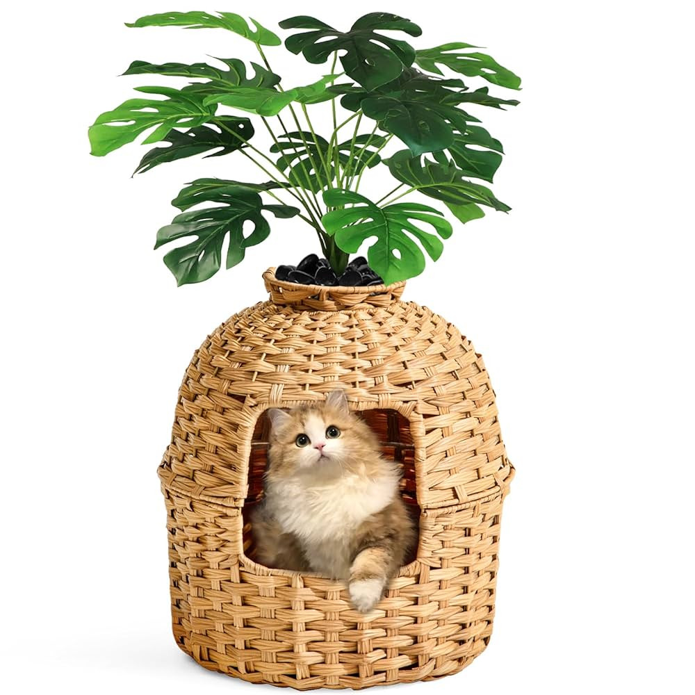 Cat Litter Box Plant Furniture Enclosure, Hidden Handwoven Rattan with Cat Litter Box and Artific... | Amazon (US)