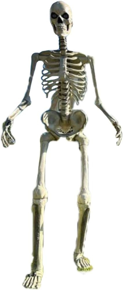 Home Accents 12 ft. Giant-Sized Skeleton with LifeEyes | Amazon (US)
