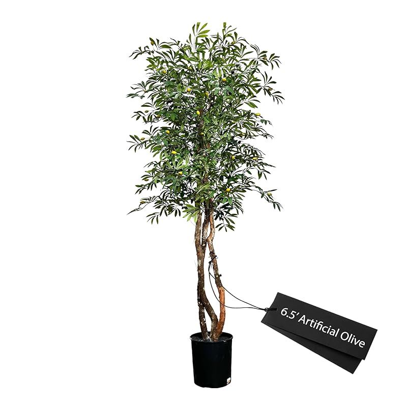 Hand-Made 6.5' Olive Artificial Tree with Ethically Sourced Real Wood Trunks | Green | Cypress & ... | Amazon (US)