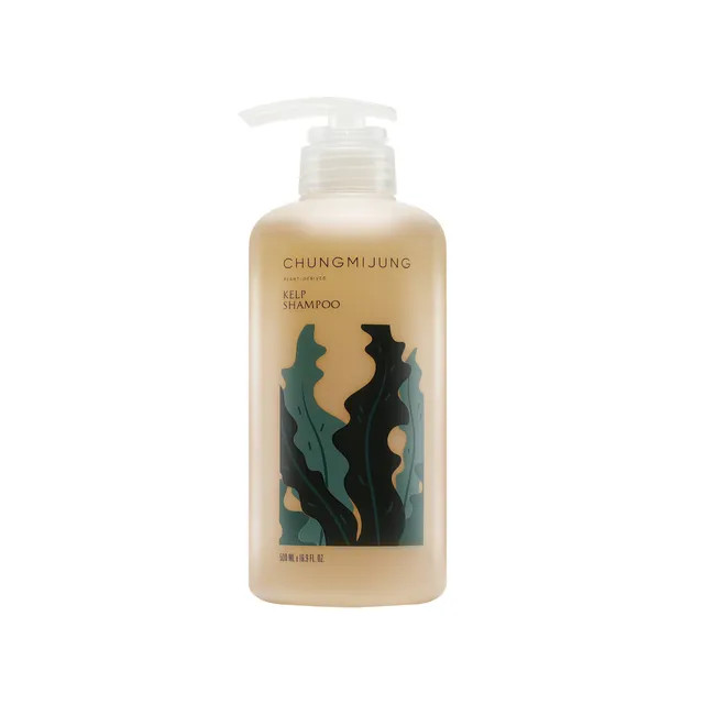 CHUNGMIJUNG - Kelp Shampoo | YesStyle Global