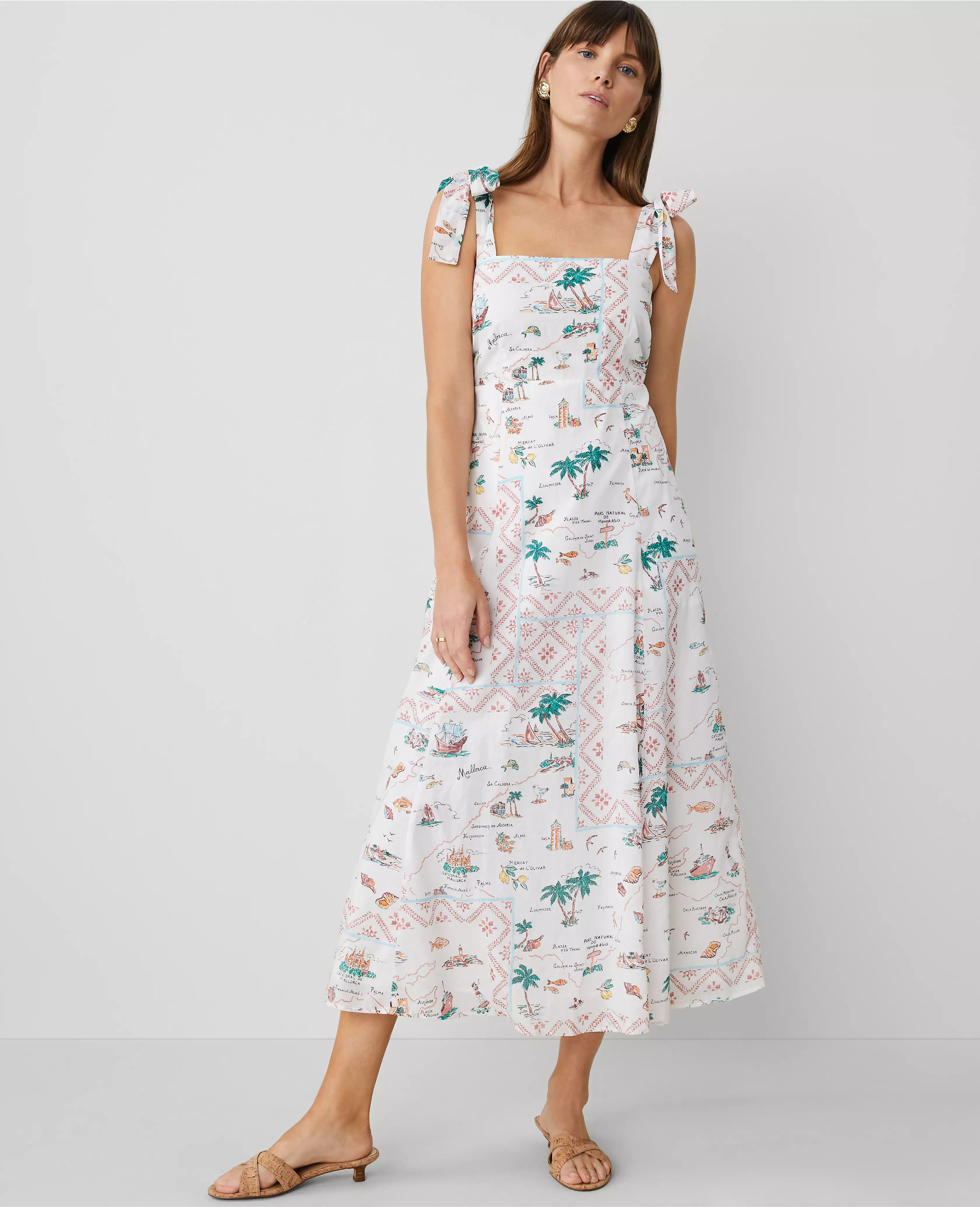 Petite Map Print Flare Dress | Ann Taylor